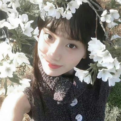 贪尸